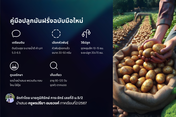 การปลูกมัน.png